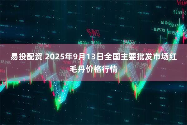 易投配资 2025年9月13日全国主要批发市场红毛丹价格行情